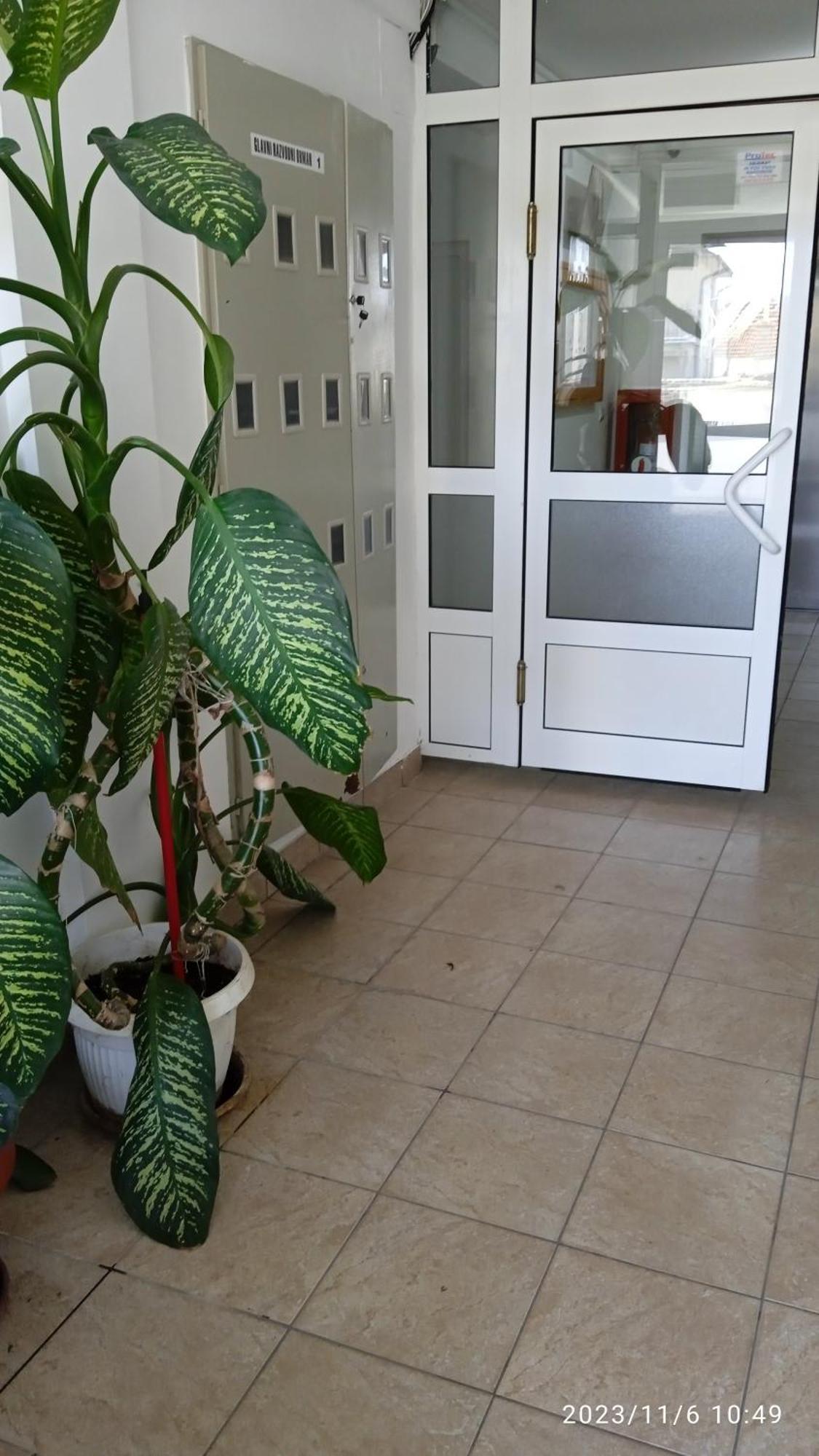 Apartman Mira Požarevac Eksteriør billede